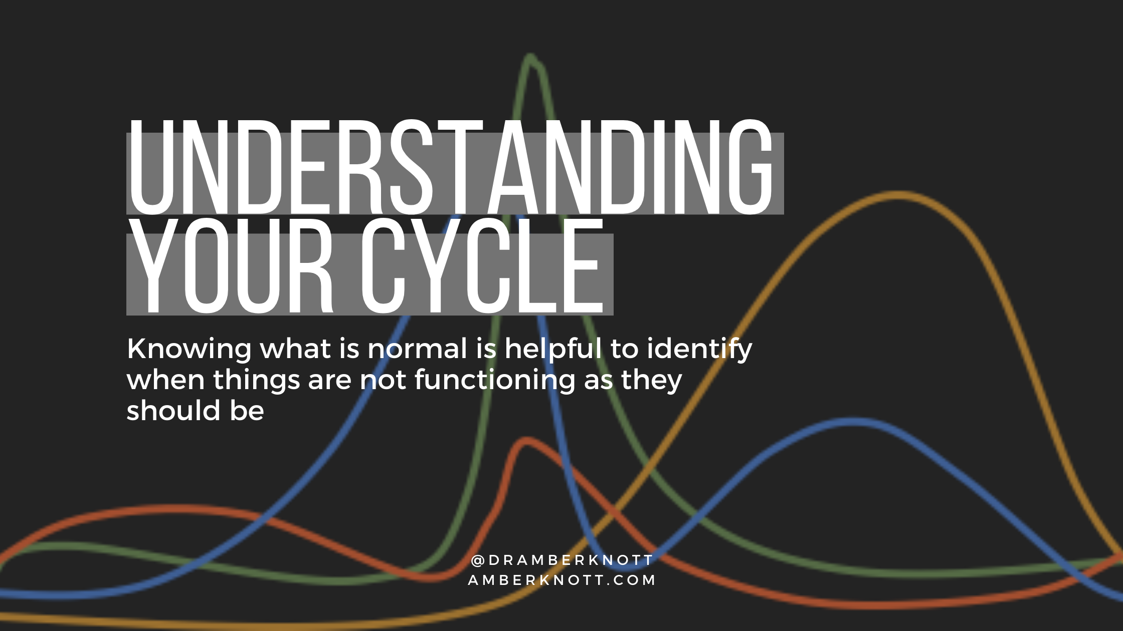Read more about the article Understanding Your Cycle